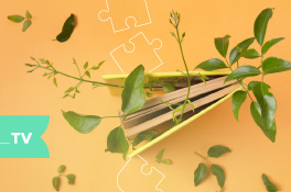 Lee más sobre el artículo Educación ambiental: propuestas didácticas para el aula